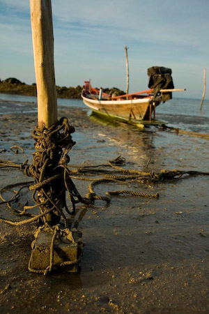 Früh morgens lassen sich die schönsten Motive am Strand finden Teil 3