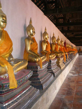 Eine Reihe goldener Buddhas in einem Rundgang in einem Tempel in Ayutthaya