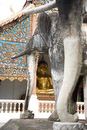Wunderschöner Blick auf einen Buddha unter dem Elefantenrüssel hindurch (Wat Pra Chiang Man)